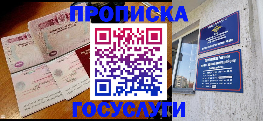 временная регистрация купить в Чкаловске